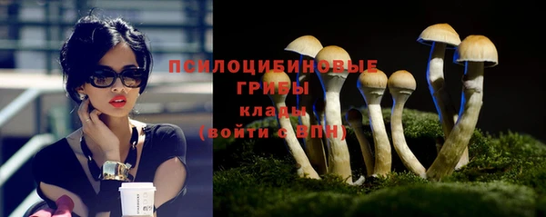спайс Елизово