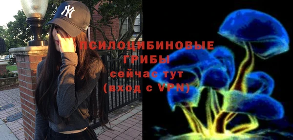 мдма Дмитров