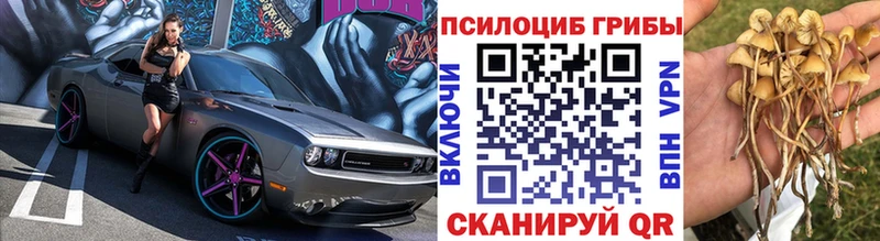 Галлюциногенные грибы ЛСД  Купить закладки  Сафоново 