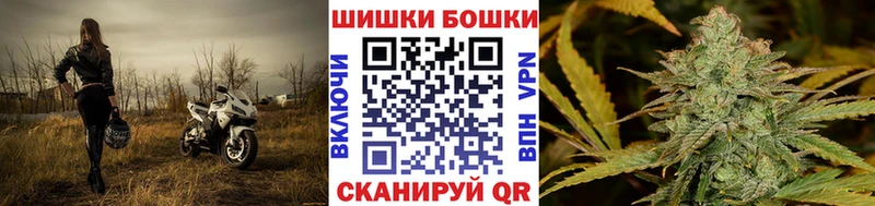 Купить  Сафоново  МАРИХУАНА ГИДРОПОН 